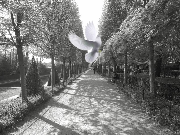 Painting titled "LES ALLÈES PACIFIÉE…" by Godier, Original Artwork, Manipulated Photography