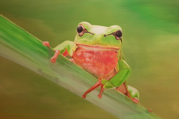Froggy Eyes 绘画, 23.6x35.4 in