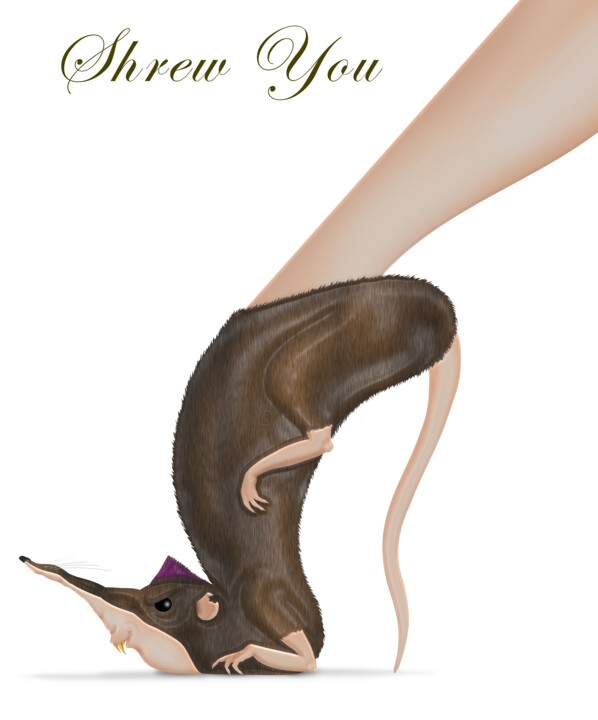 Shrew You 数字艺术