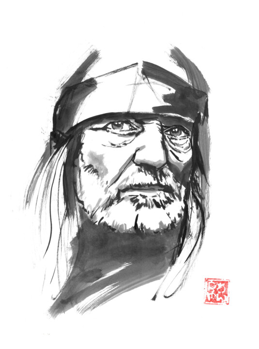 willie nelson 图画, 15.8x11.8 in