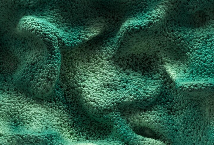 Verdant Microverse Arte digitale