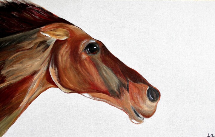 Freedom 绘画, 19.7x31.9 in
