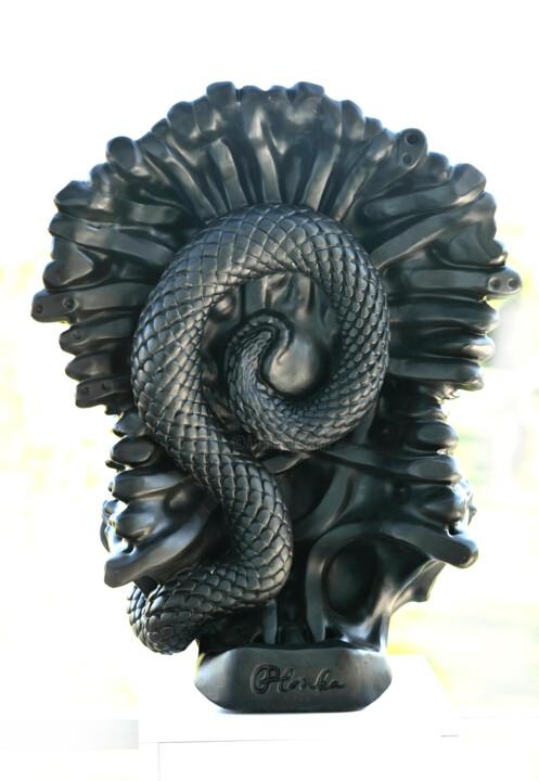 其他意见 5