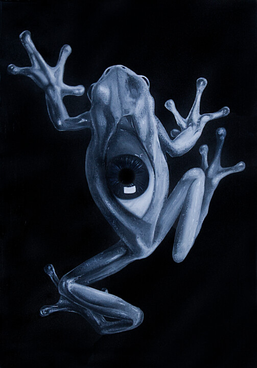 Frog 绘画, 27.6x19.7 in