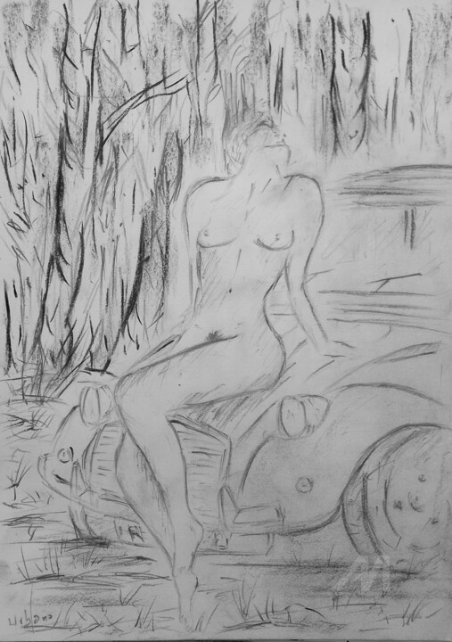 图画,  16.1x11.8 in 