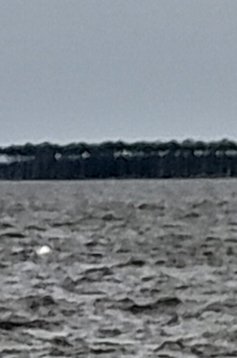 DAJA BLAQQ: OCEAN SERIES COLLECTION (OCEAN ISLAND OF PALMS) 摄影, 3,056x2,023 in