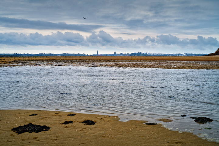 Carantec, Baie de Morlaix, la passe aux moutons en avril. Fotografia, 393,7x590,6 in