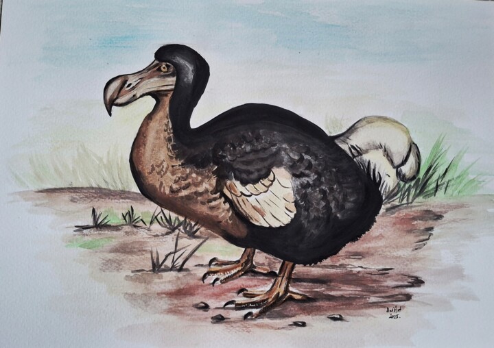 Th Dodo's legacy 绘画, 17.5x12.4 in