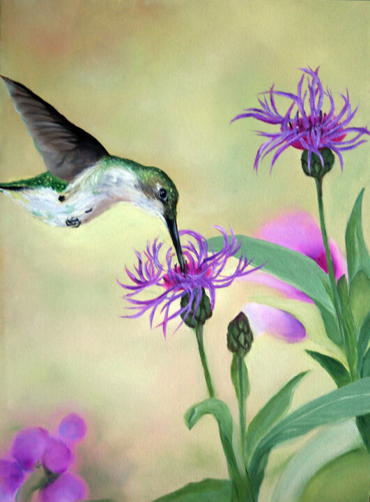 Colibri et centaurées 绘画, 15.8x11.8 in