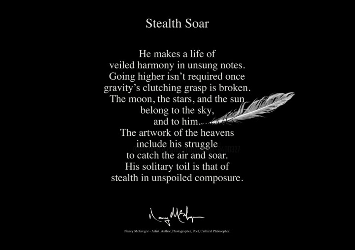 Photography titled "Stealth Soar" by Photospoon, Original Artwork, 2D Digital Work