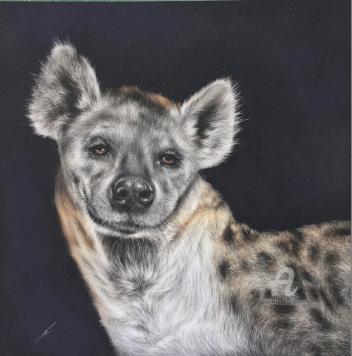 Dessin intitulée "Hyena" par Irene_art, Œuvre d'art originale, Pastel