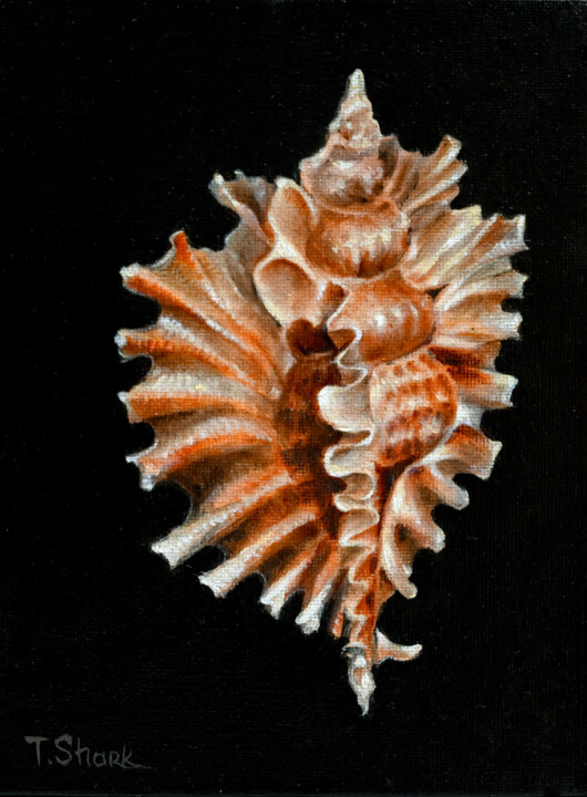 Painting titled "Clam shell #9" by Tanya Shark, Original Artwork, Oil
