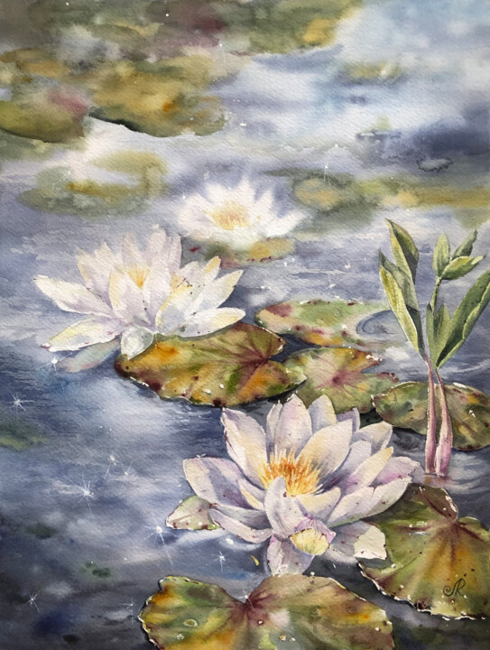 Lotus 绘画, 14.6x10.6 in