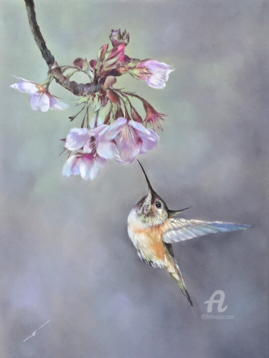 Dessin intitulée "Colibri" par Irene_art, Œuvre d'art originale, Pastel