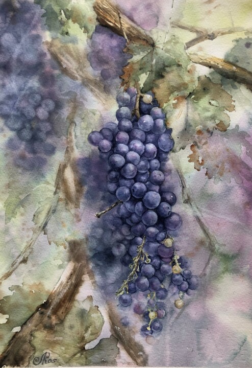 Grape 绘画, 14.2x10.2 in