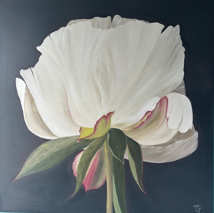 Pivoine blanche :symbole de l’amour pur Malerei, 27,6x27,6 in