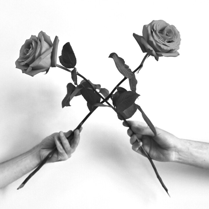 Deux Roses 摄影, 39.4x39.4 in