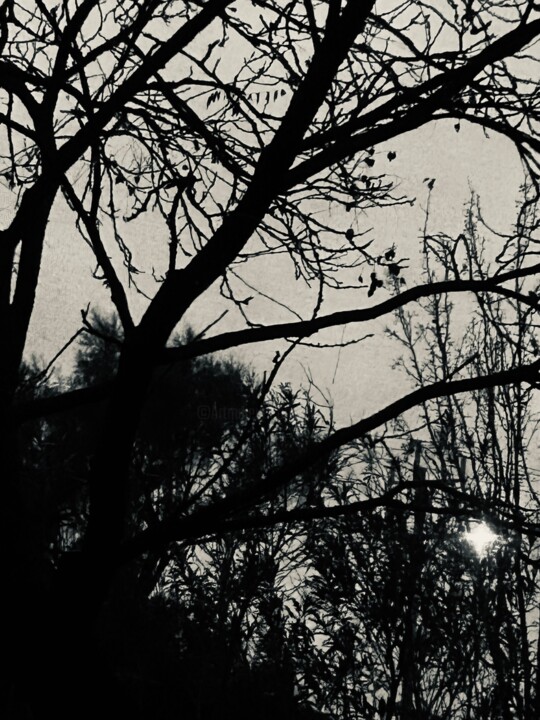 Photography titled "Darkness falls 2" by Greg Powell, Original Artwork, Digital Photography
