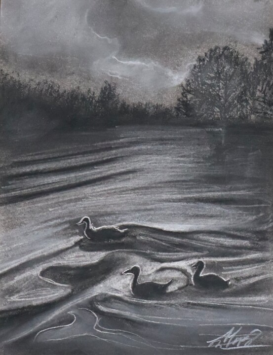Ducks 图画, 16x12 in
