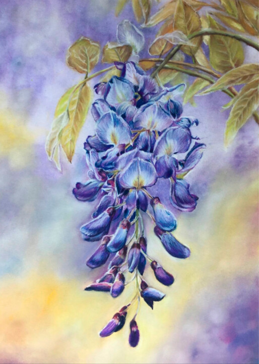 Wisteria/Glycine 绘画, 11.4x8.3 in