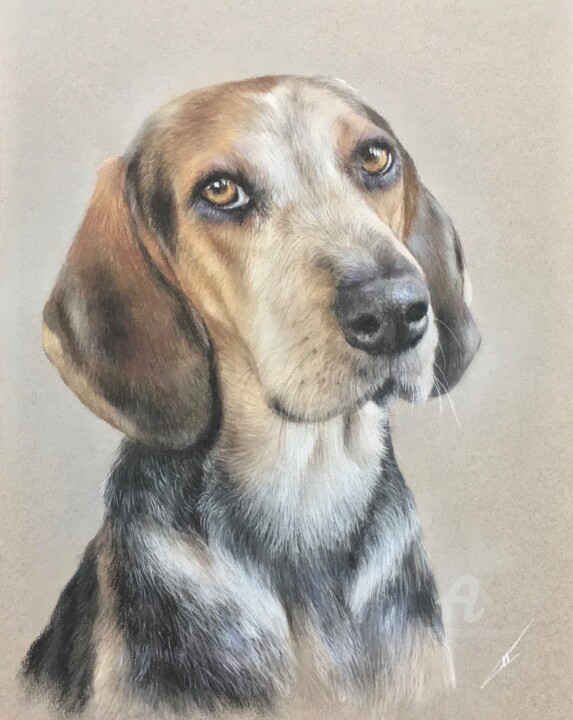 Dessin intitulée "Jake" par Irene_art, Œuvre d'art originale, Pastel