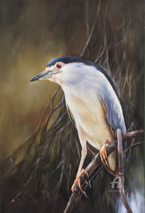 Dessin intitulée "Night heron" par Irene_art, Œuvre d'art originale, Pastel
