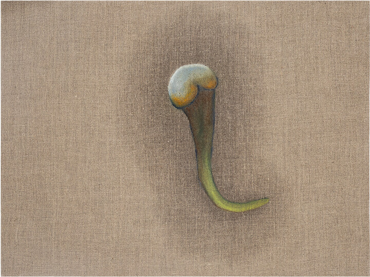 Untitled No.9. Series "Flowers" 绘画, 17.7x23.6 in