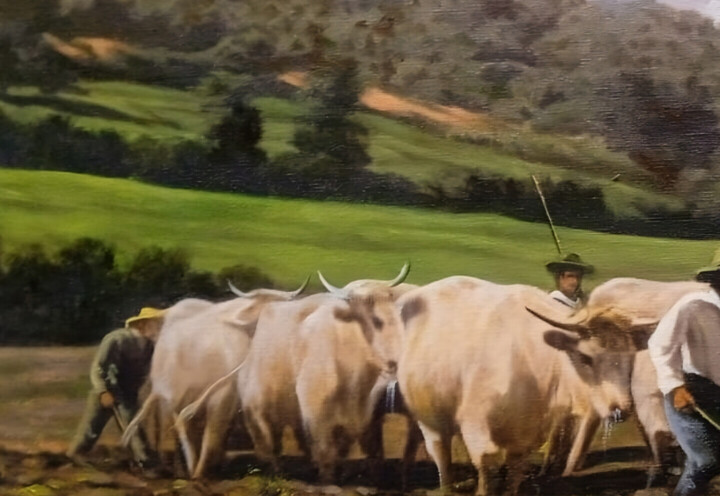 Επιπλέον θέα 3