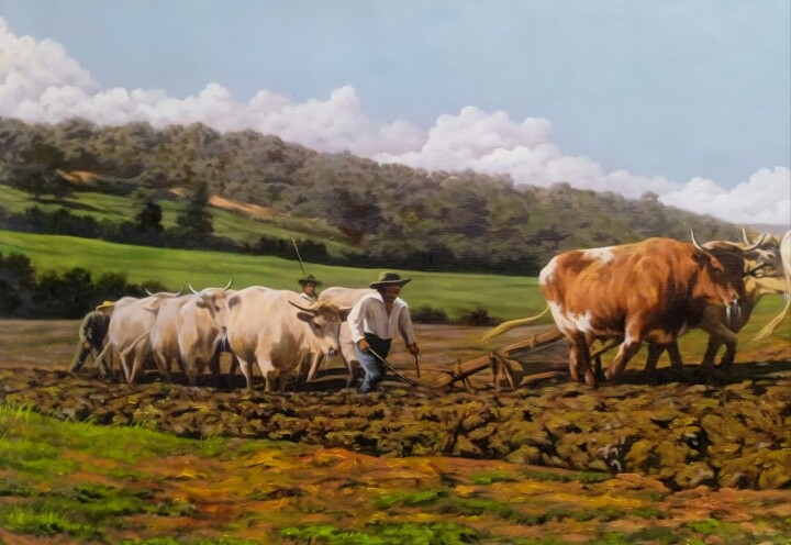 Surcos De La Tierra Pittura, 50x70 in