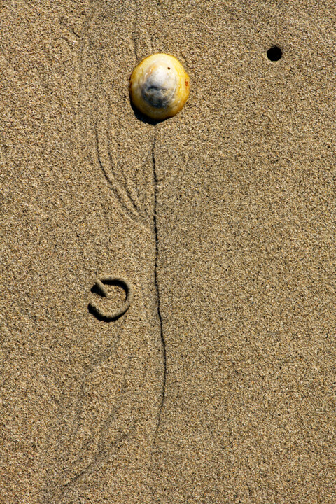 Histoire d'eau et de sable 38. Fotografia, 590,6x393,7 in
