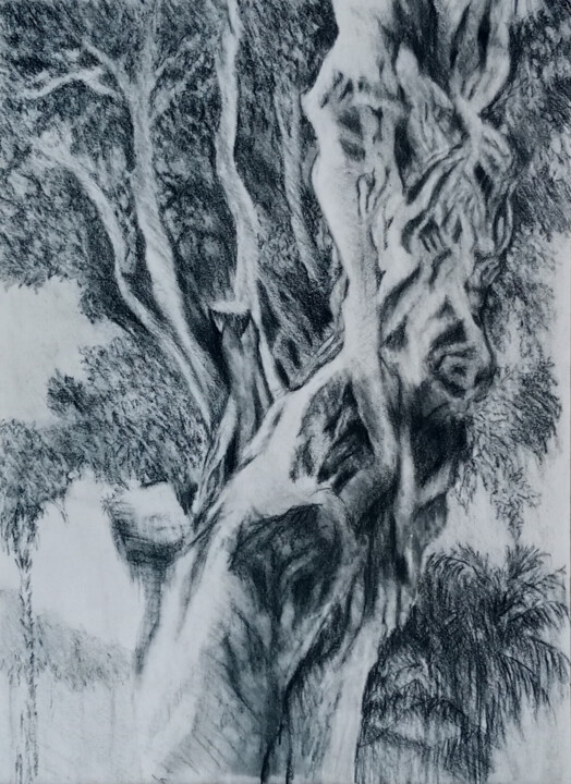 Drawing titled "tricky tree" by Liudmila Rabinovich, Original Artwork, Charcoal