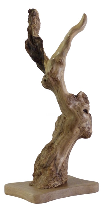 Initiée Sculptuur, 16,5x7,1 in