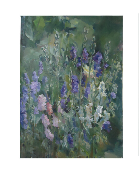 Дельфиниум Pittura, 23,6x15,8 in