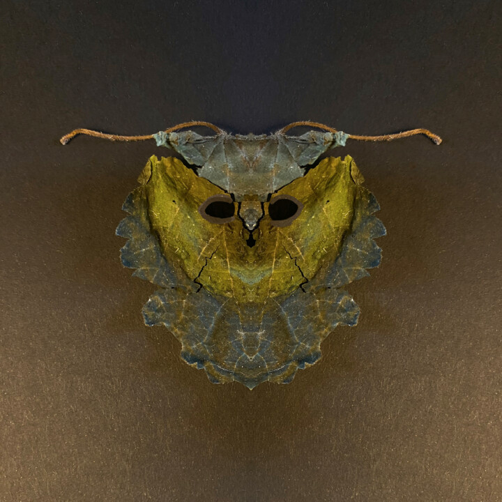 Ranis Digitale Kunst, 11,8x11,8 in