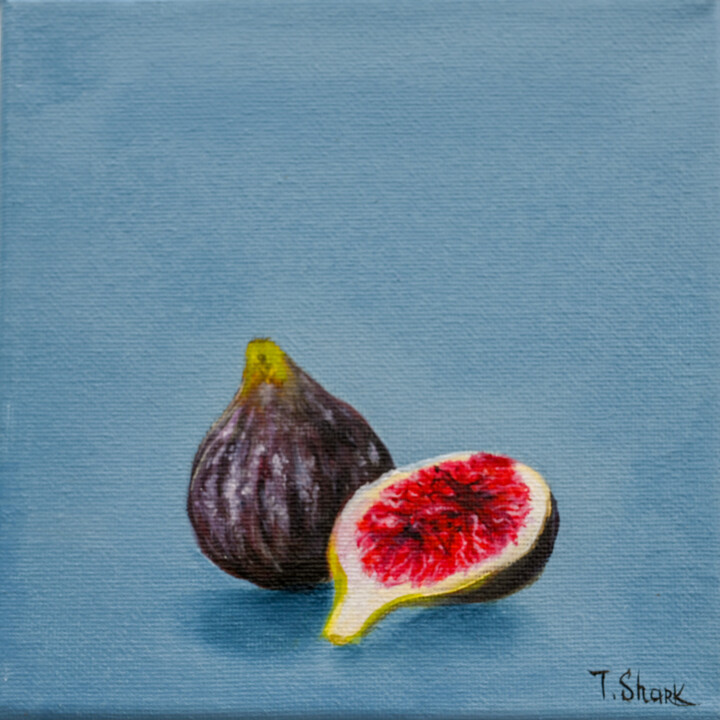 Figsmini 绘画, 6.3x6.3 in