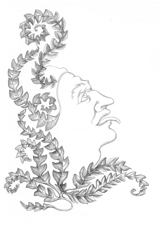 Jester Disegno, 11,7x8,3 in