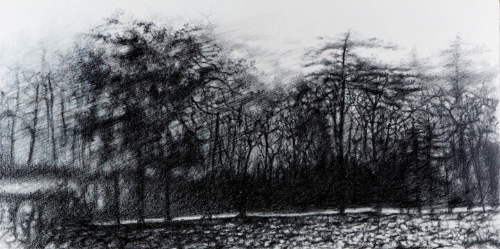 Desenho intitulada "Le long de l'allée." por B. Alexis, Obras de arte originais, Giz