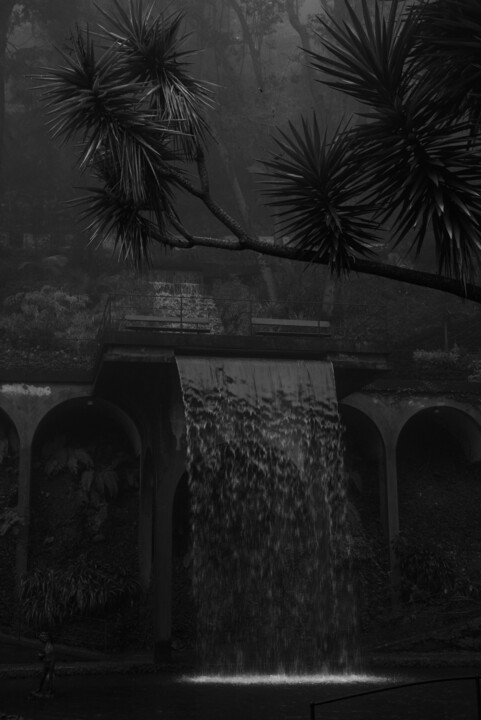The waterfall, Funchal, 2025 Fotoğraf, 23,6x15,8 in