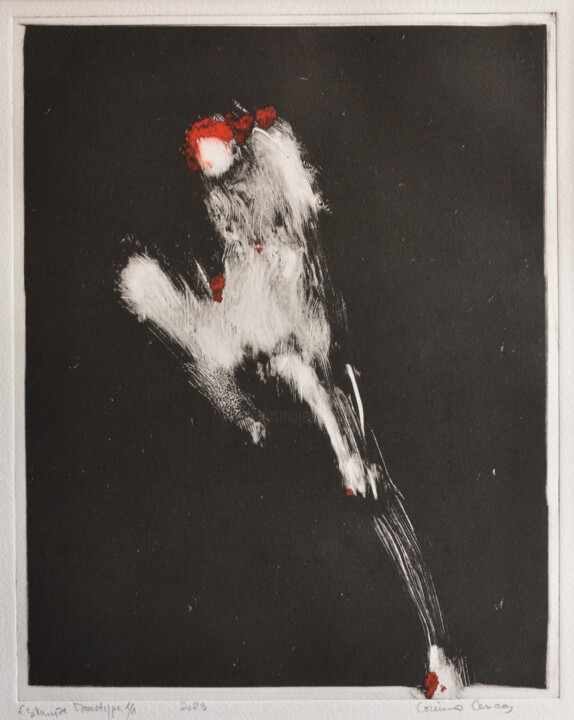 Prenten & gravures getiteld "Guid" door Corinne Cesca, Origineel Kunstwerk, Monotype