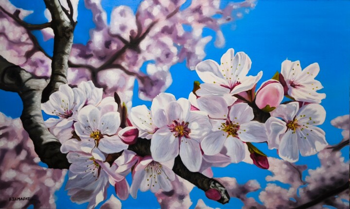 Painting titled "Almond flowers" by Samaras Chris, Original Artwork, Oil