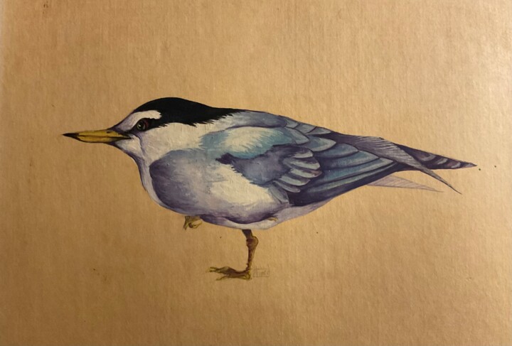Petite Mouette Disegno, 11,7x8,3 in