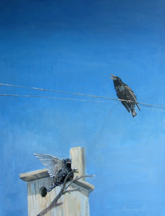 Starling 绘画, 31.5x23.6 in