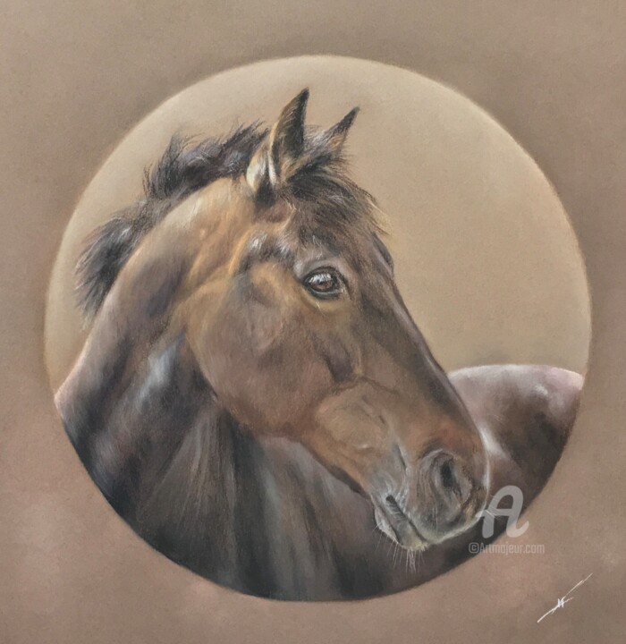 Nikki Disegno, 12,6x12,6 in