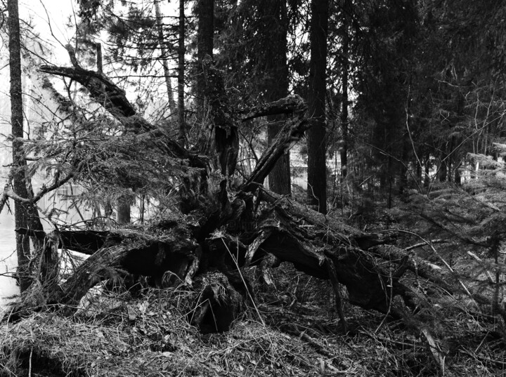 Photography titled "город" by Aleksandr Klimkin, Original Artwork, Analog photography