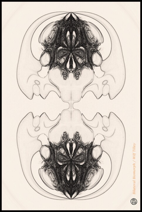 Gravures & estampes intitulée "Bi-lateral Biomorph" par Wilf Tilley, Œuvre d'art originale, Impression numérique