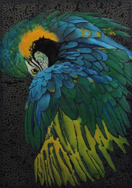 Arara Azul 绘画, 39.4x27.6 in