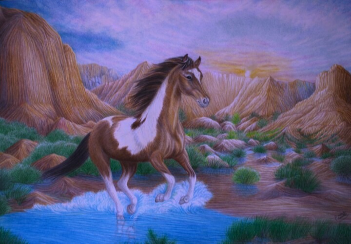 Drawing titled "American Wild Horse…" by Deidra Smith, Original Artwork, Pencil