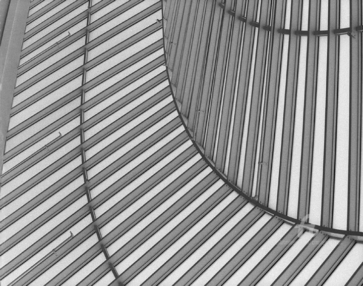 Fotografia,  11x14 in 