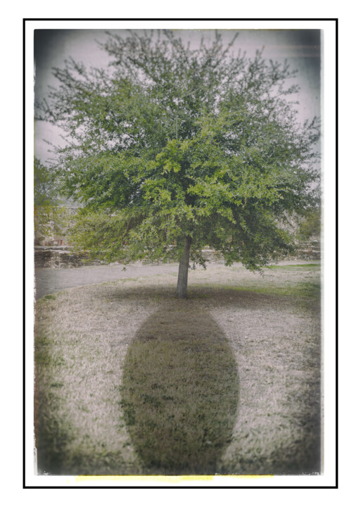 Photography titled "Shade and tree do n…" by Frank Verreyken, Original Artwork, Digital Photography