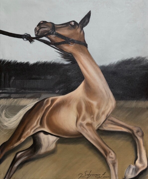 Realistic oil painting “Be Free Like a Spirit” Painting, 23.6x19.7 in